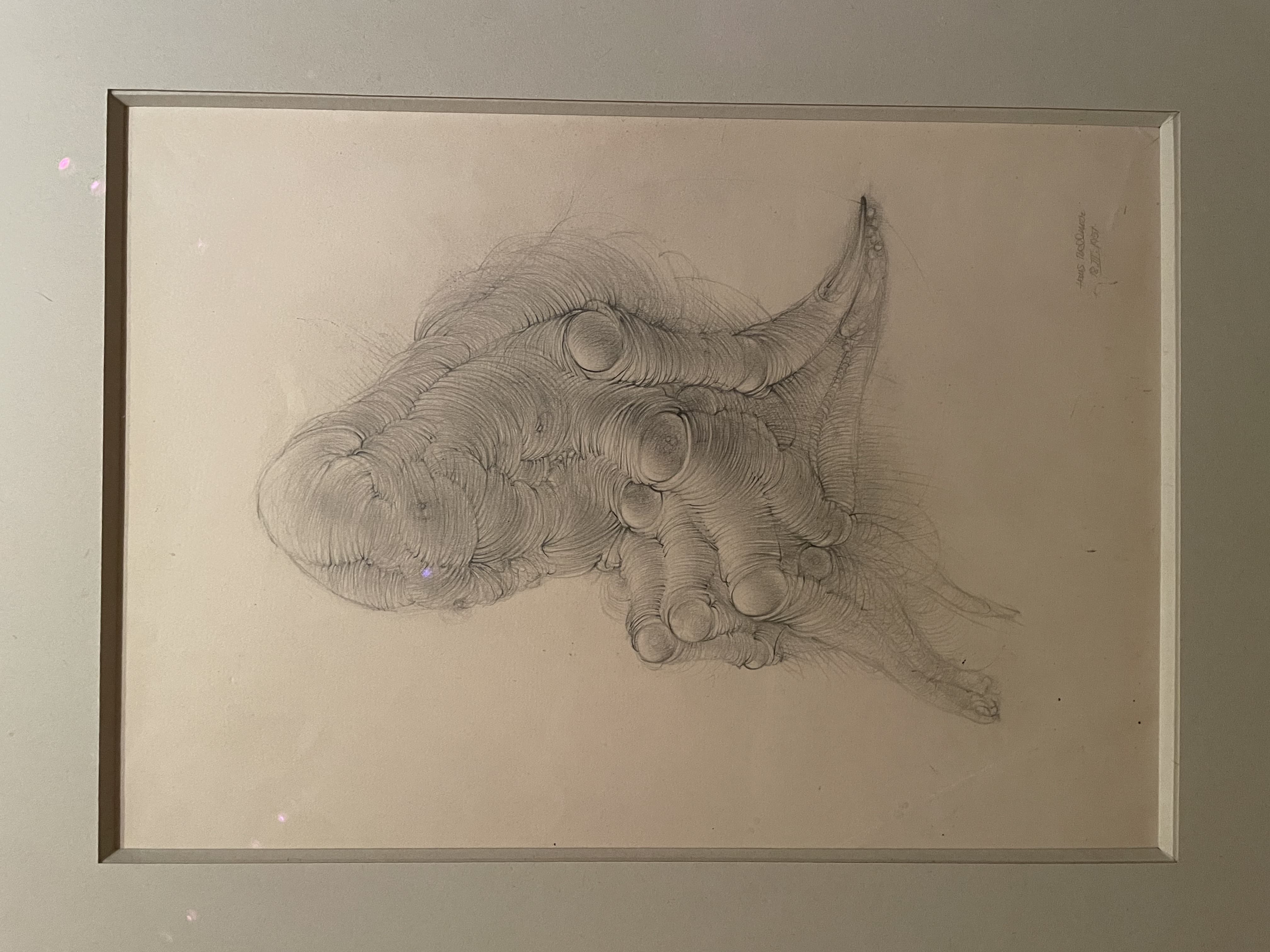 Pencil Drawing of a Convoluted, Organic Figure by Hans Bellmer (1937)