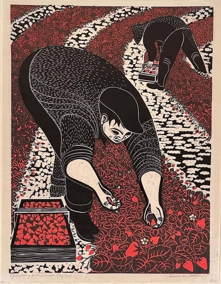 Strawberry Pickers near Pescadero by Emmy Lou Packard (1945)