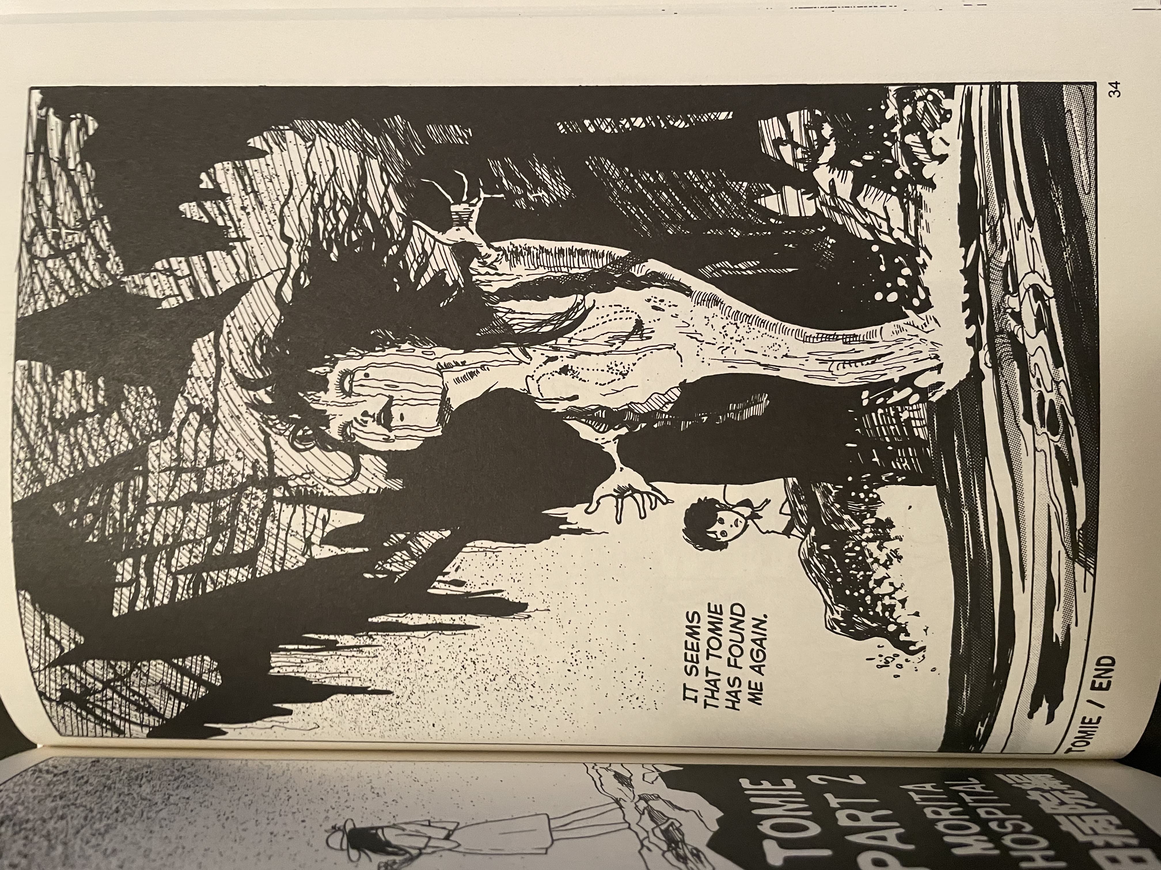 Tomie Part 2: Morita Hospital (Final Panel) by Junji Ito (1988)
