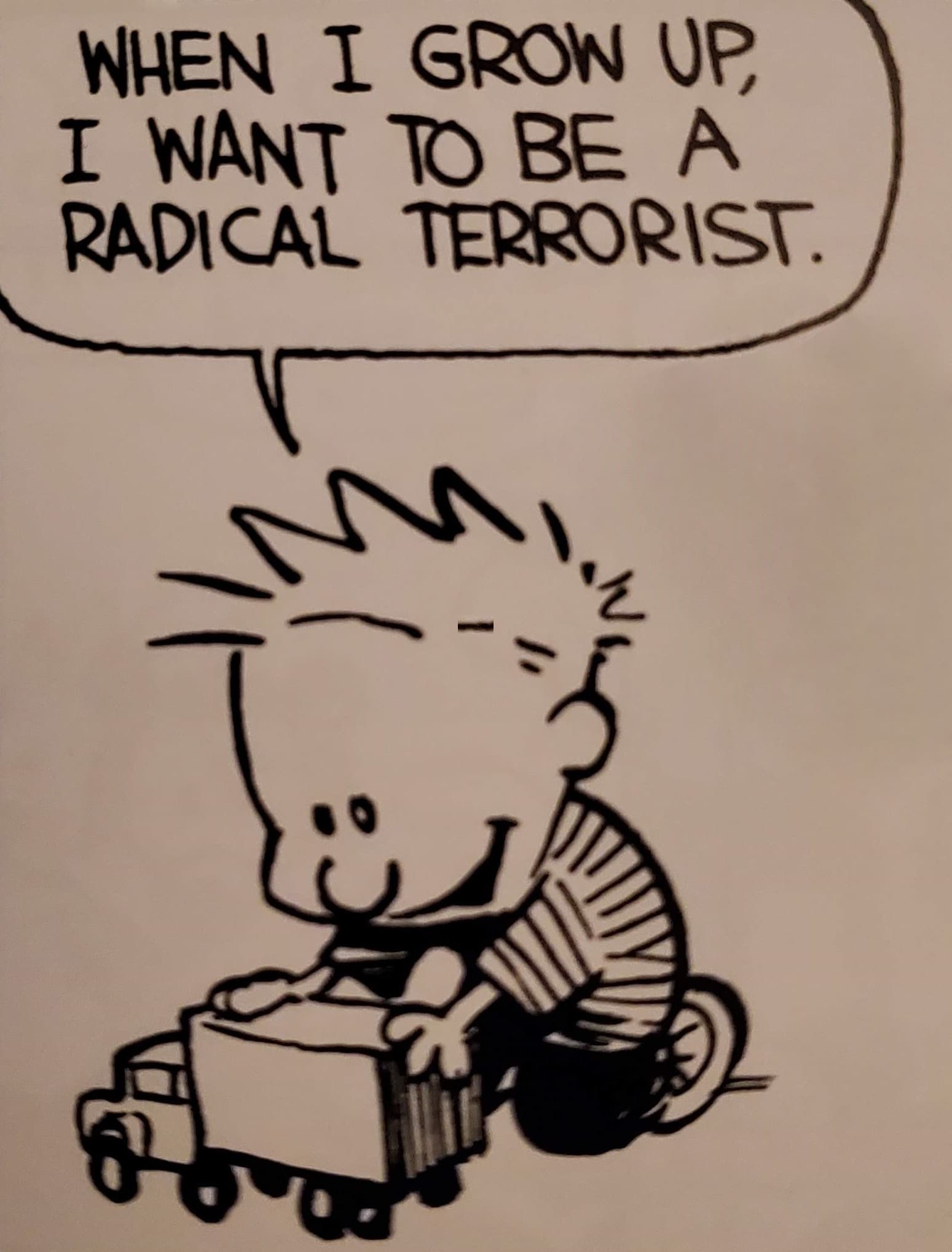 When I Grow Up, I Want To Be A Radical Terrorist (Calvin and Hobbes) by Bill Watterson (1986)