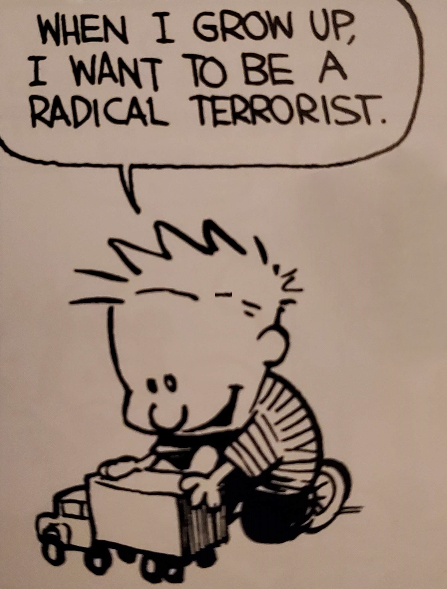 When I Grow Up, I Want to Be a Radical Terrorist (Calvin and Hobbes strip panel) by Bill Watterson (1986)