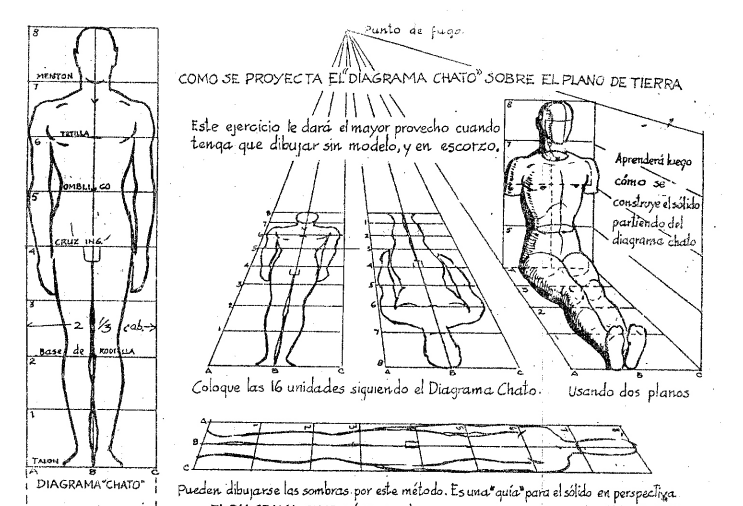 Instructional Diagram Showing Human Proportions and Foreshortening in Perspective