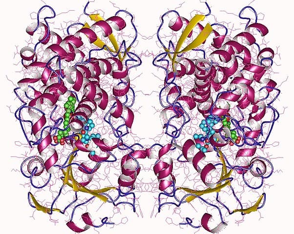 Molecular Diagram of a Symmetrical Pink and Yellow Protein Structure