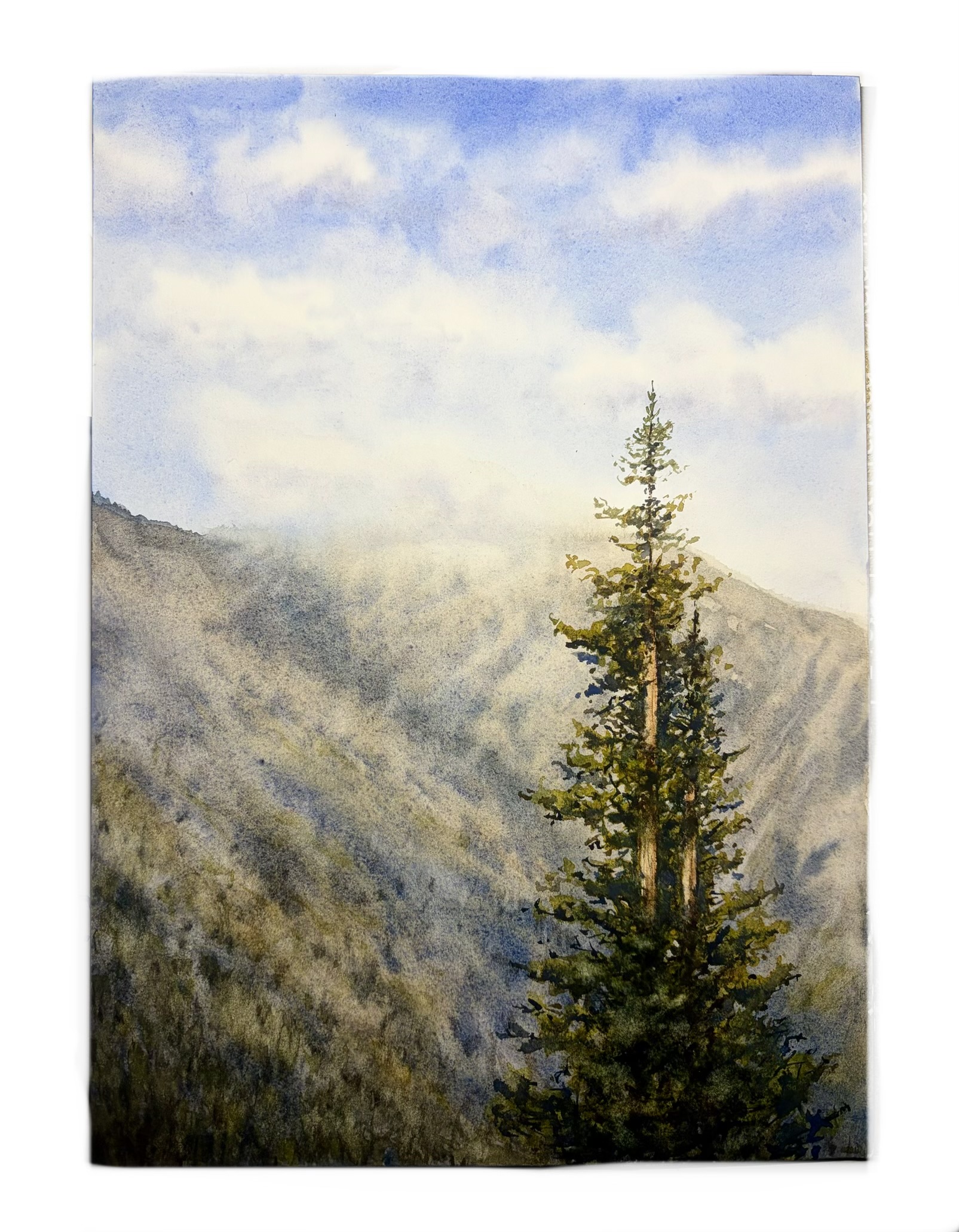 Illustration Watercolor Painting of a Pine Tree and Misty Mountains