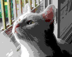 Image Processed Image of a Cat's Head with Limited Color Palette