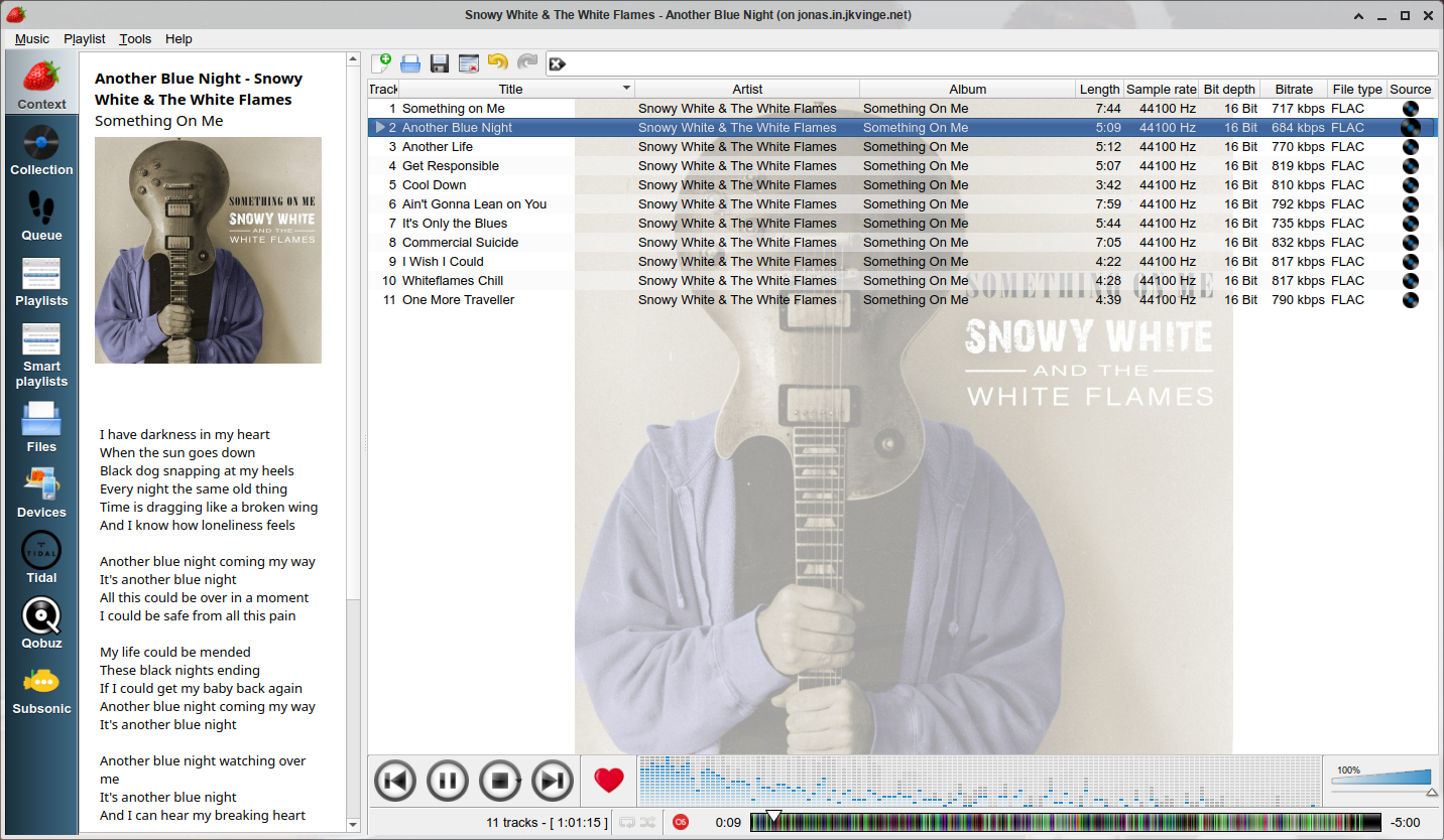 download the new version for mac Strawberry Music Player 1.0.18