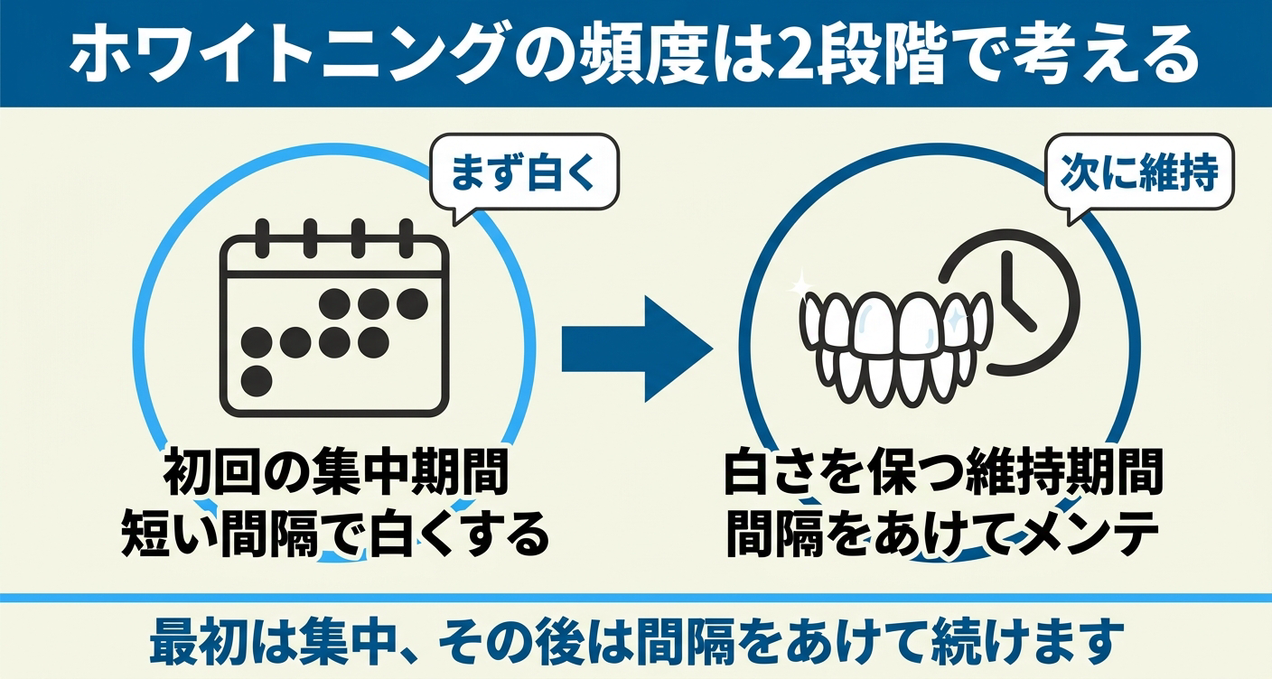 ホワイトニングの頻度を初回の集中期間と白さを保つ維持期間の2段階で示した図解。まず短い間隔で白くし、その後は間隔をあけてメンテナンスするという考え方を、矢印でつないだ2つの円形パネルで分かりやすく整理している。