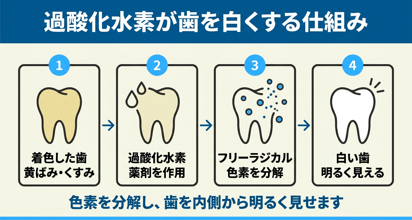 過酸化水素が歯を白くする仕組みを示した図解
