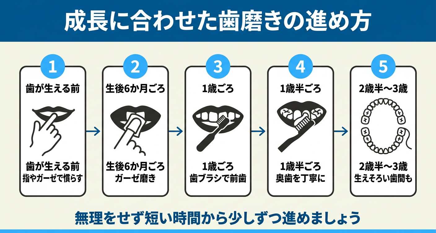 赤ちゃんの歯磨きの進め方を口慣らし・ガーゼ磨き・歯ブラシ・奥歯ケア・歯間ケアで整理した図解