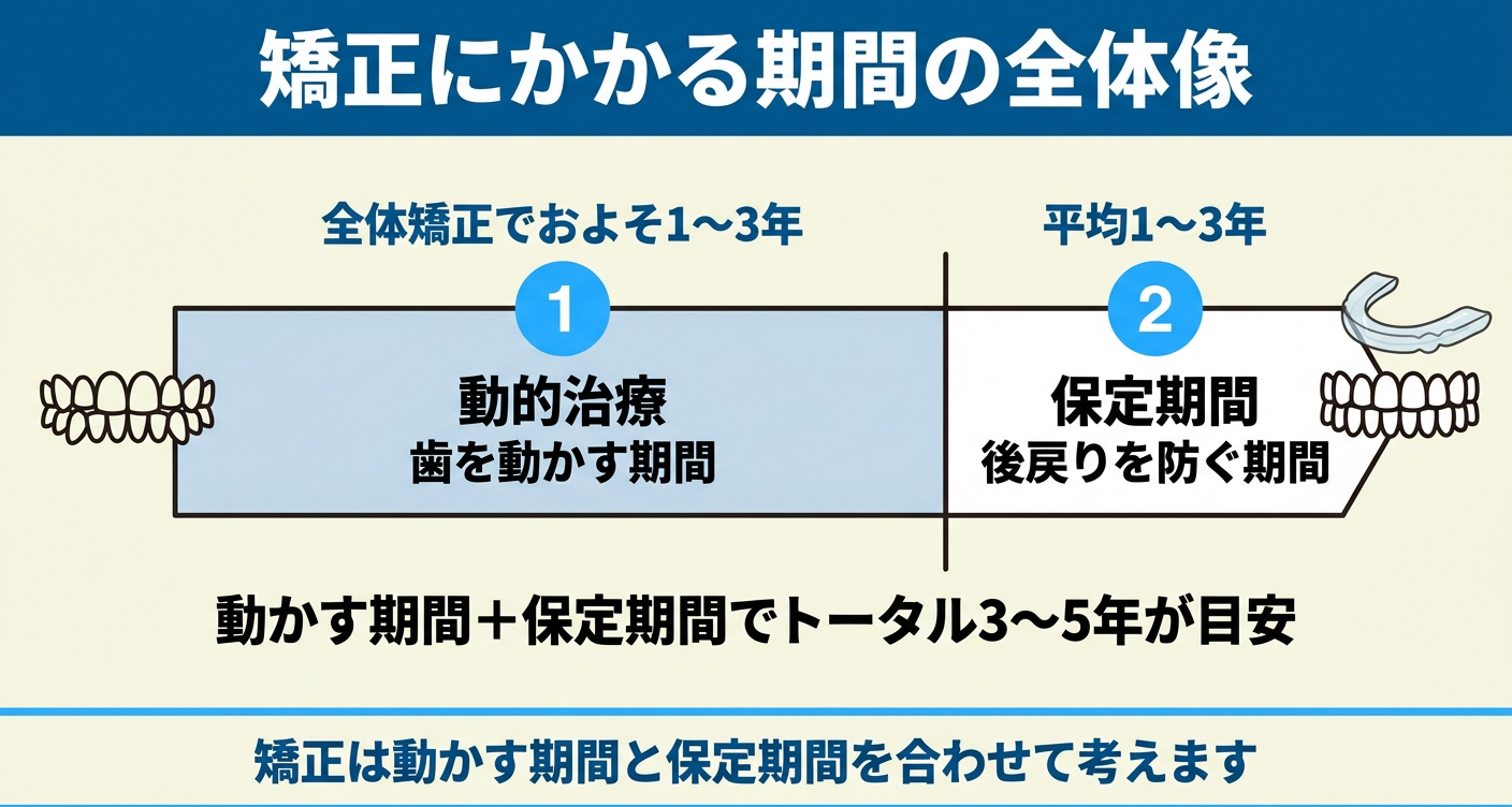 歯列矯正の動的治療と保定期間の全体像を時間軸で整理した図解