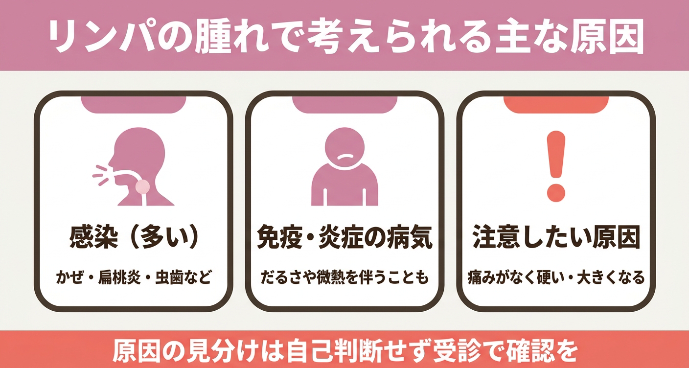 リンパ節が腫れる主な原因を分類した図