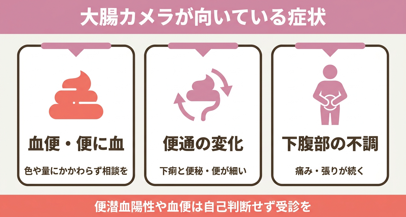 大腸カメラが検討される症状の図