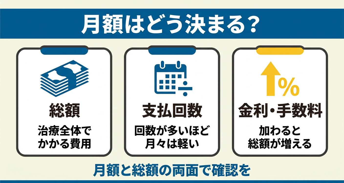 歯列矯正の月額を決める総額・支払い回数・金利の図解