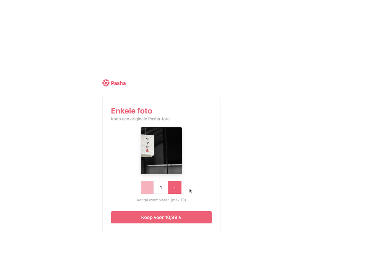 A gif of the Checkout payment page rendering