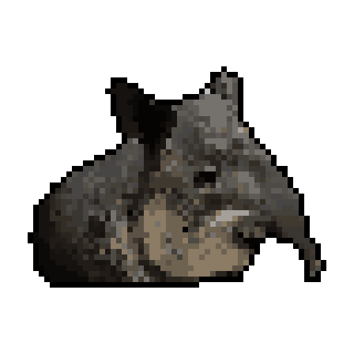 tapir