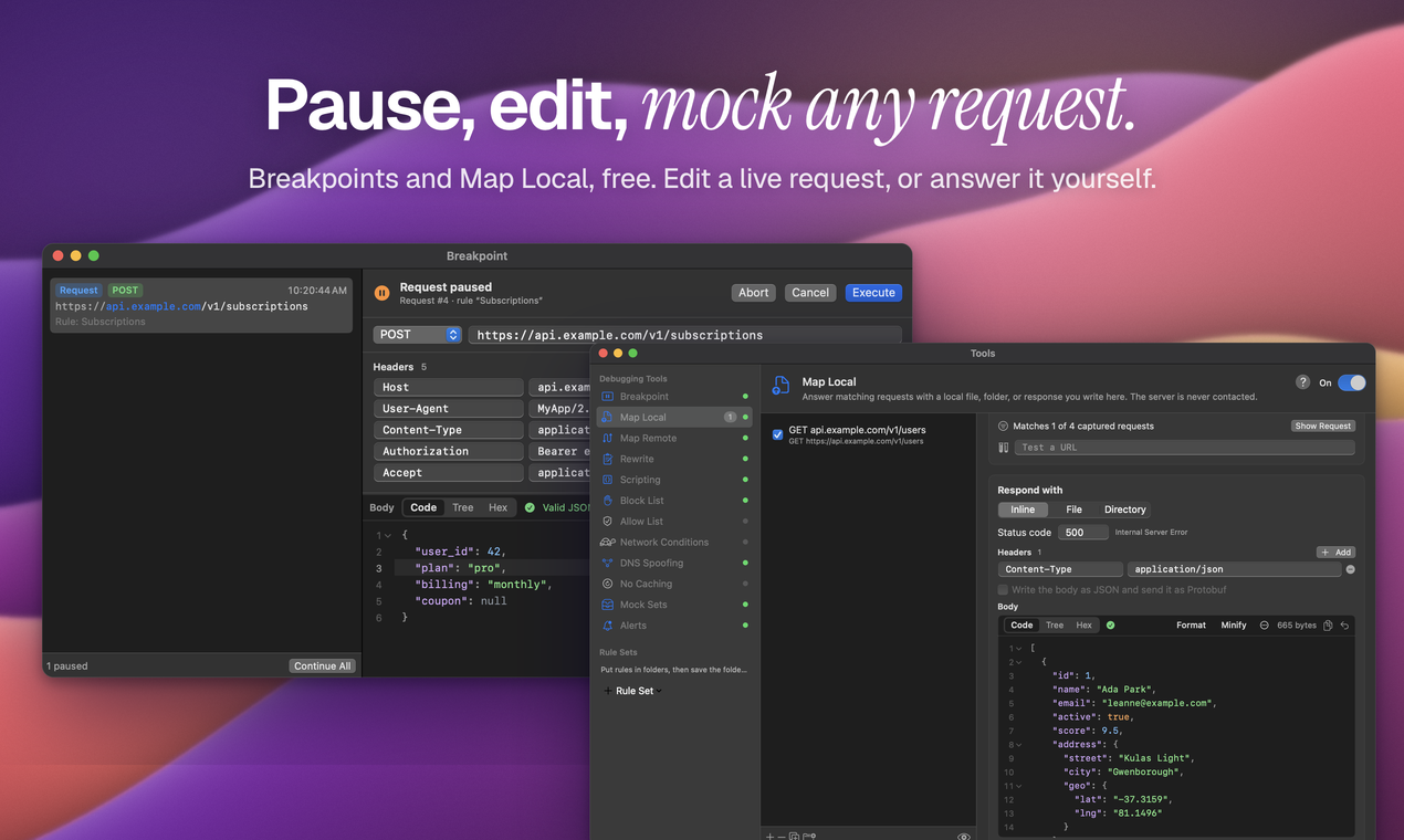 A request paused at a breakpoint, being edited before it continues