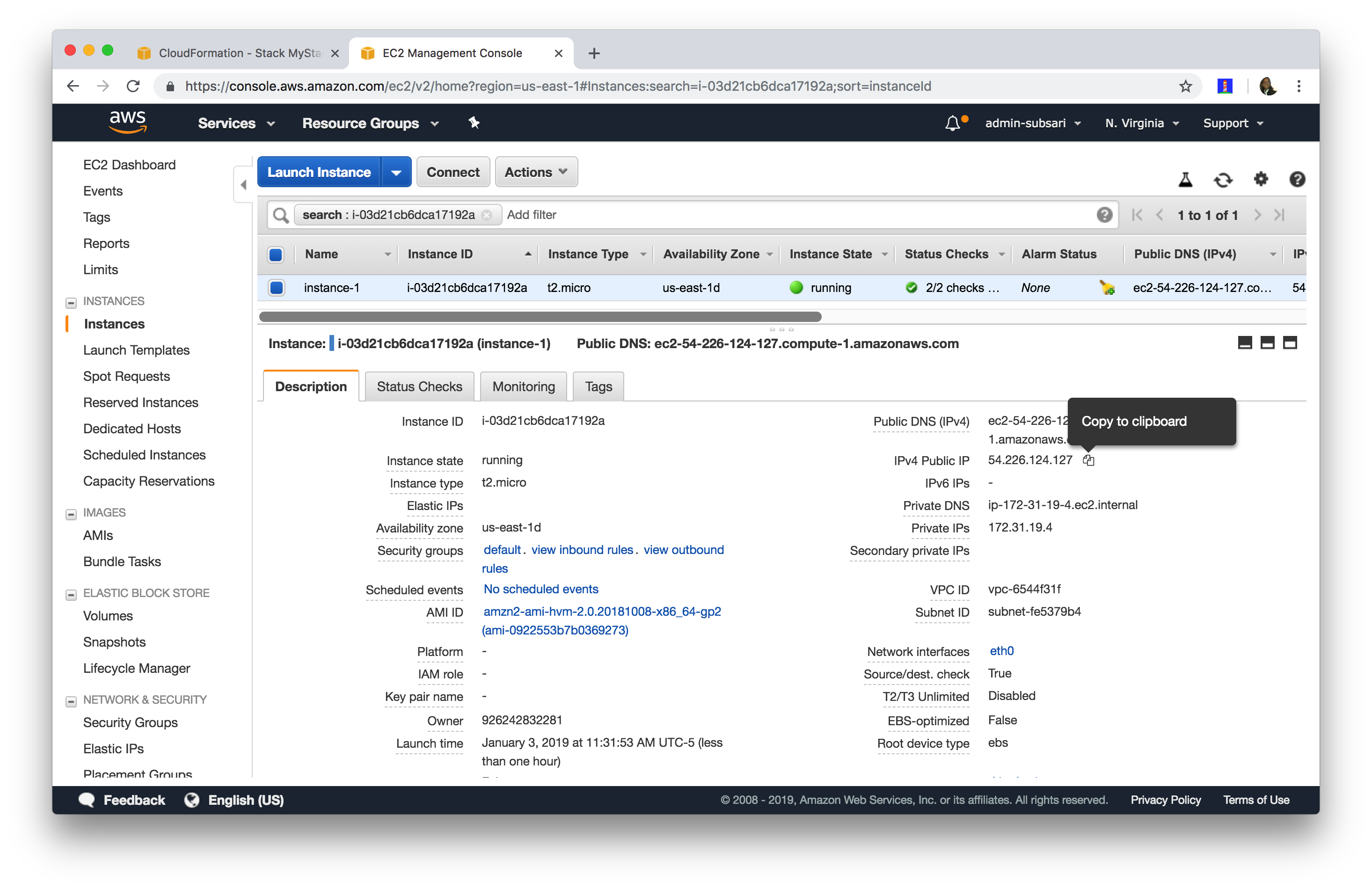 Copy EC2 Public IP