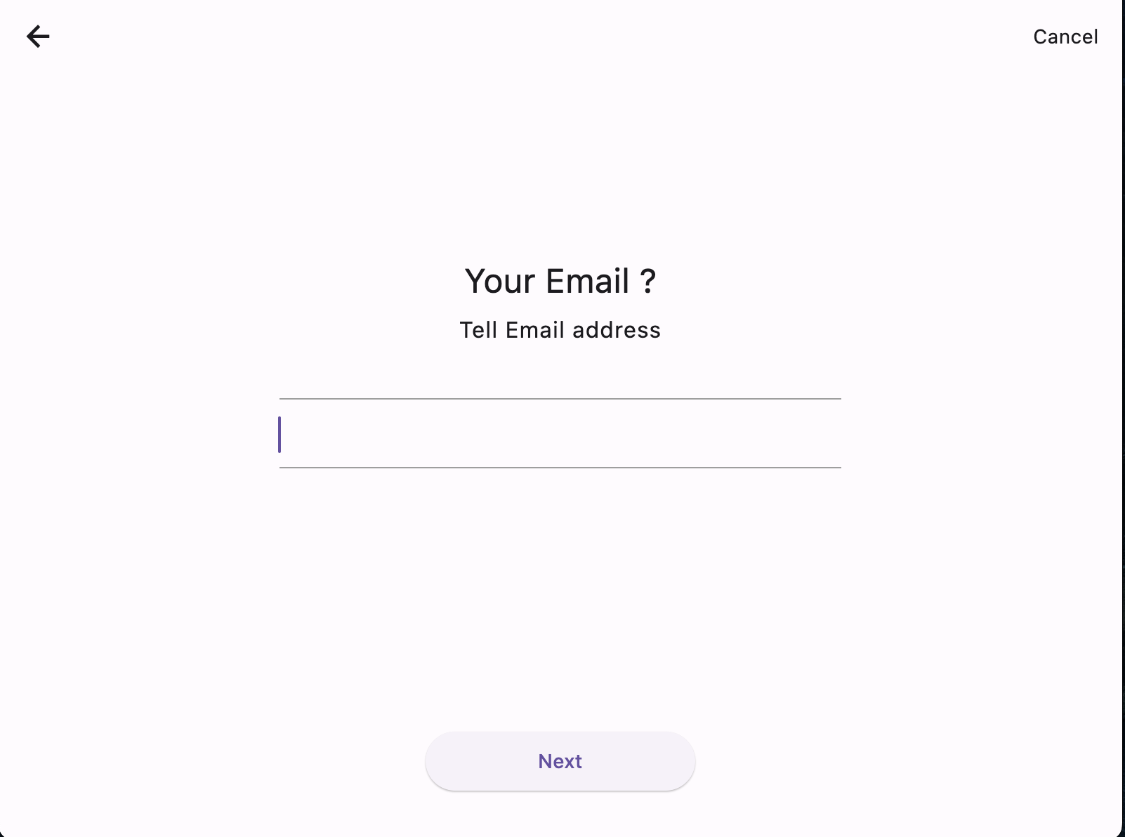 Email Input