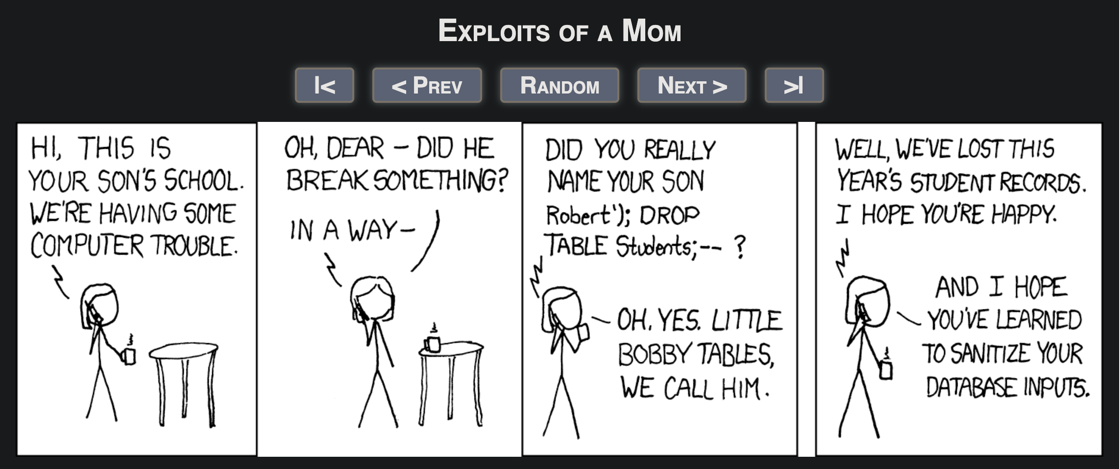 exploits-of-a-mom-xkcd