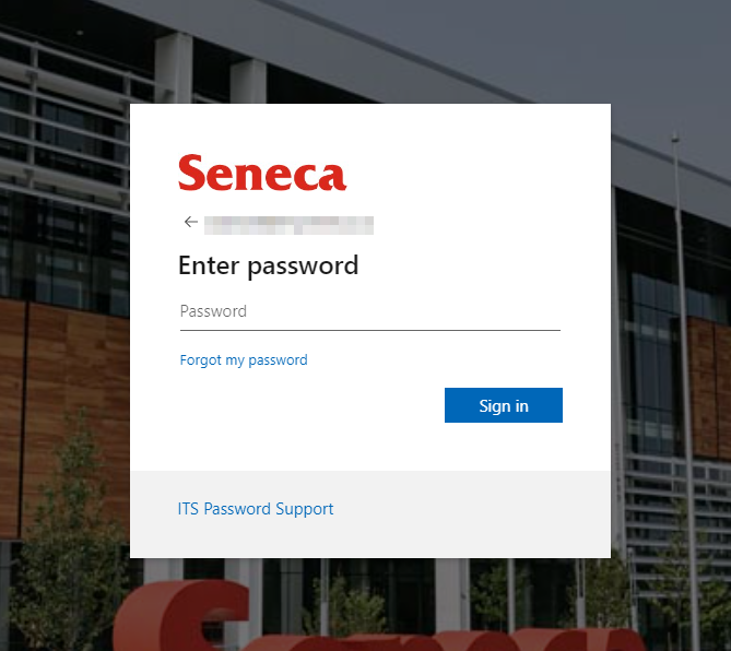 School Account Phishing Page