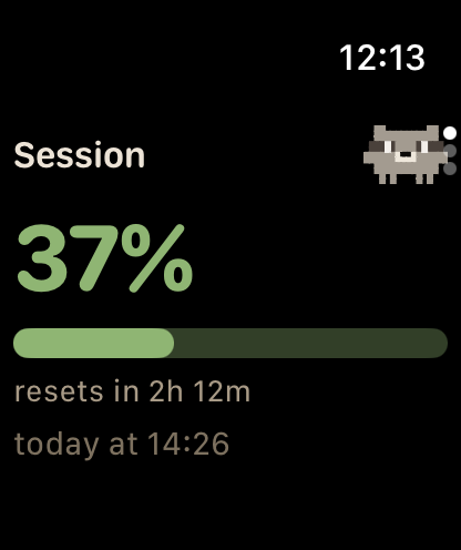 Apple Watch with the session at 37% and the reset time