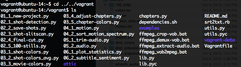 Folder structure inside Vagrant