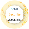 Security Associate