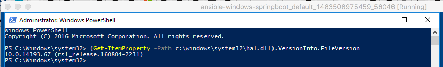 Windows_build_number_Docker_failing