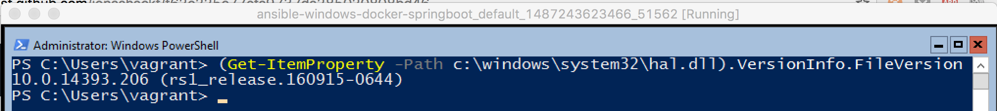 Windows_build_number_Docker_working
