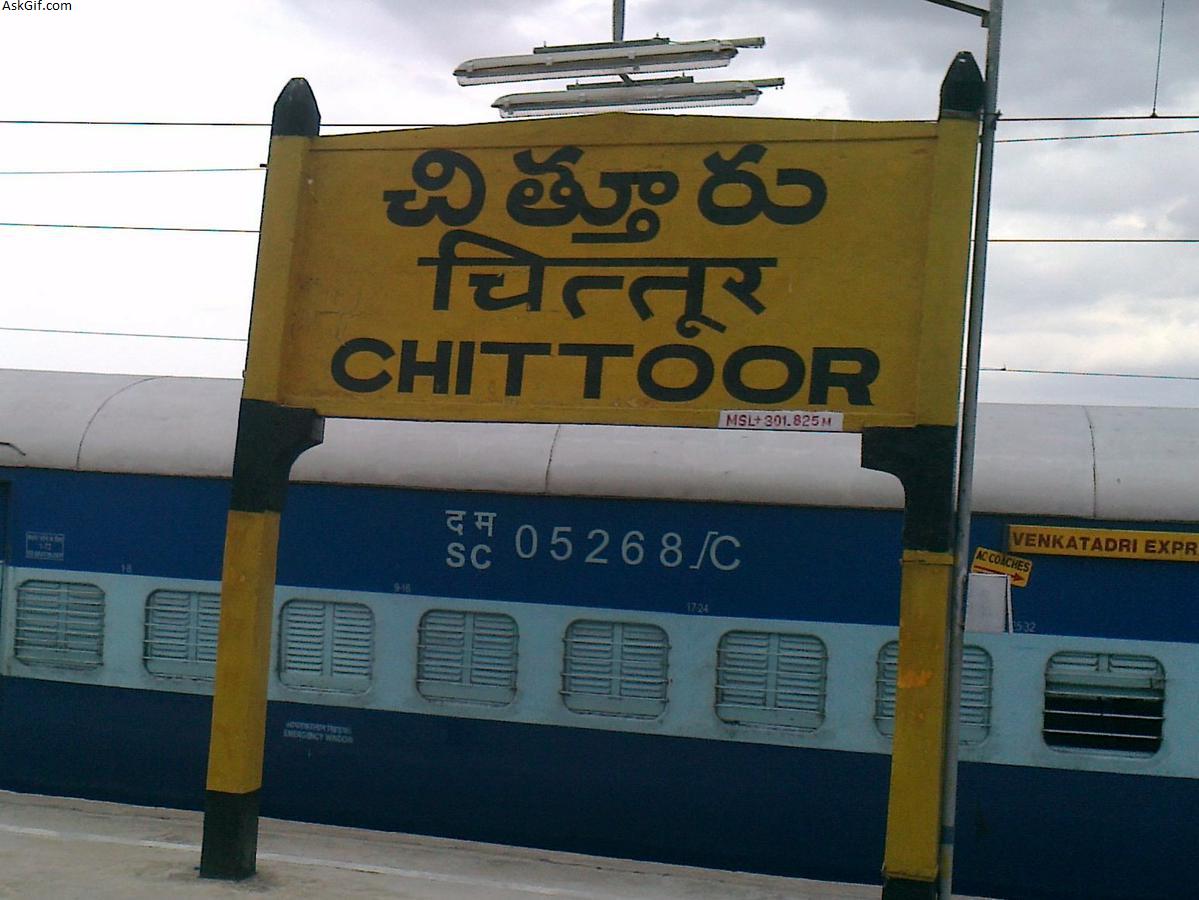 Chittoor Blogs - Find Best Reads of All Time