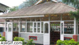 1. टिपी आर्किड अनुसंधान केंद्र