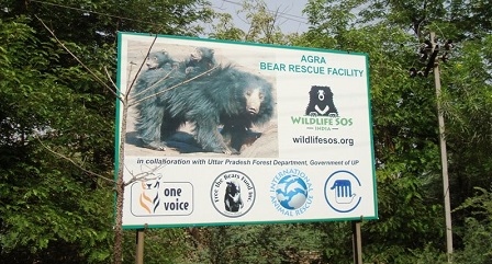 9. वन्यजीवन एसओएस