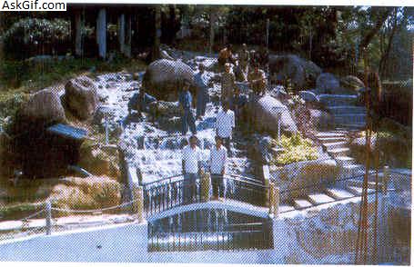 3. कोहड़ा टूरिस्ट रिसॉर्ट