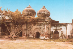 4. किले की दीवार और गेट्स