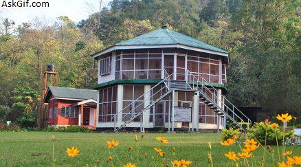 3. नमदाफा राष्ट्रीय उद्यान