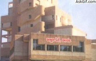 2. अमूल डेयरी