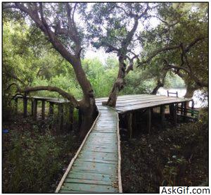 3. इको टूरिज्म