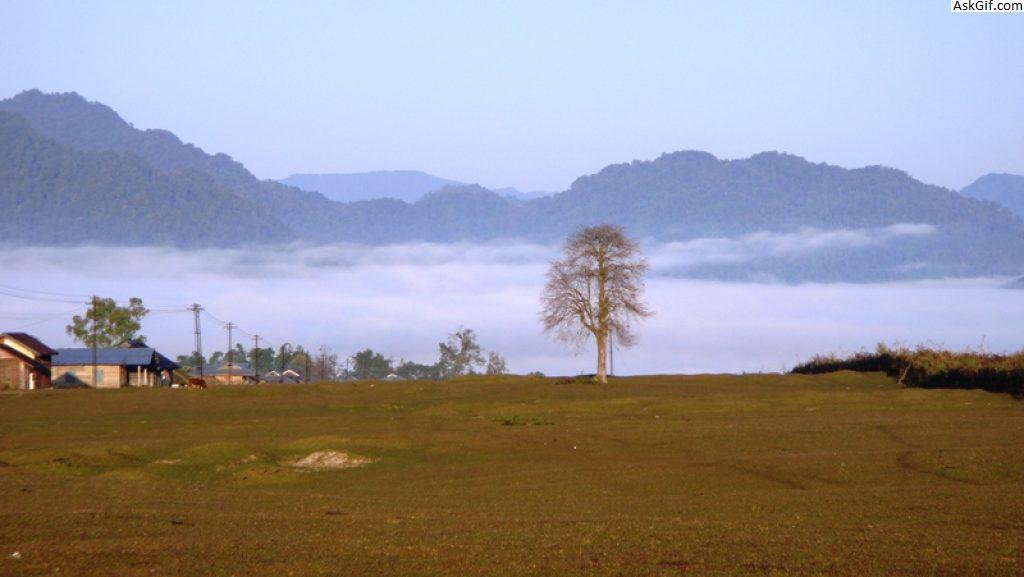 1. विजयनगर