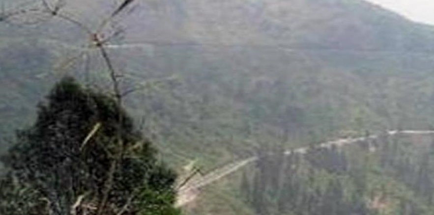 2. मुलमुला