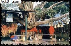 3. बेल मंदिर