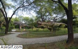 4. इंद्रोदा पार्क