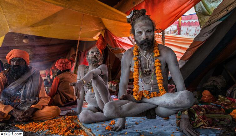 3. Akharas and the Sadhus