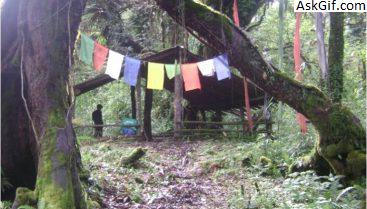 3. गेलिंग