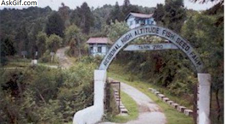 2. तारिन मछली फार्म