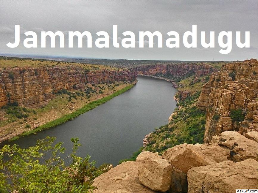 जमलामादुगु में देखने के लिए शीर्ष स्थान, आंध्र प्रदेश