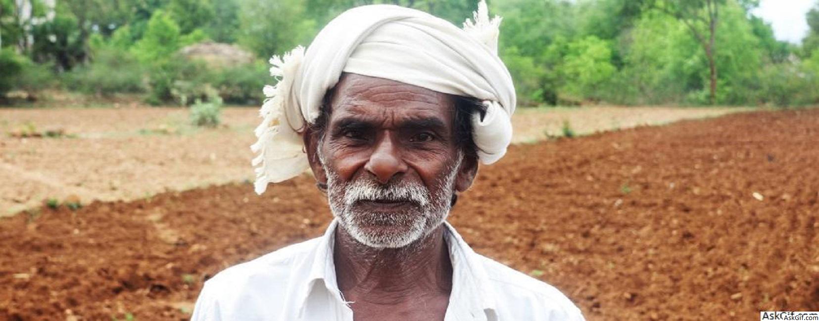 Farmer's aging, new generation disinterested: Who will grow our food?