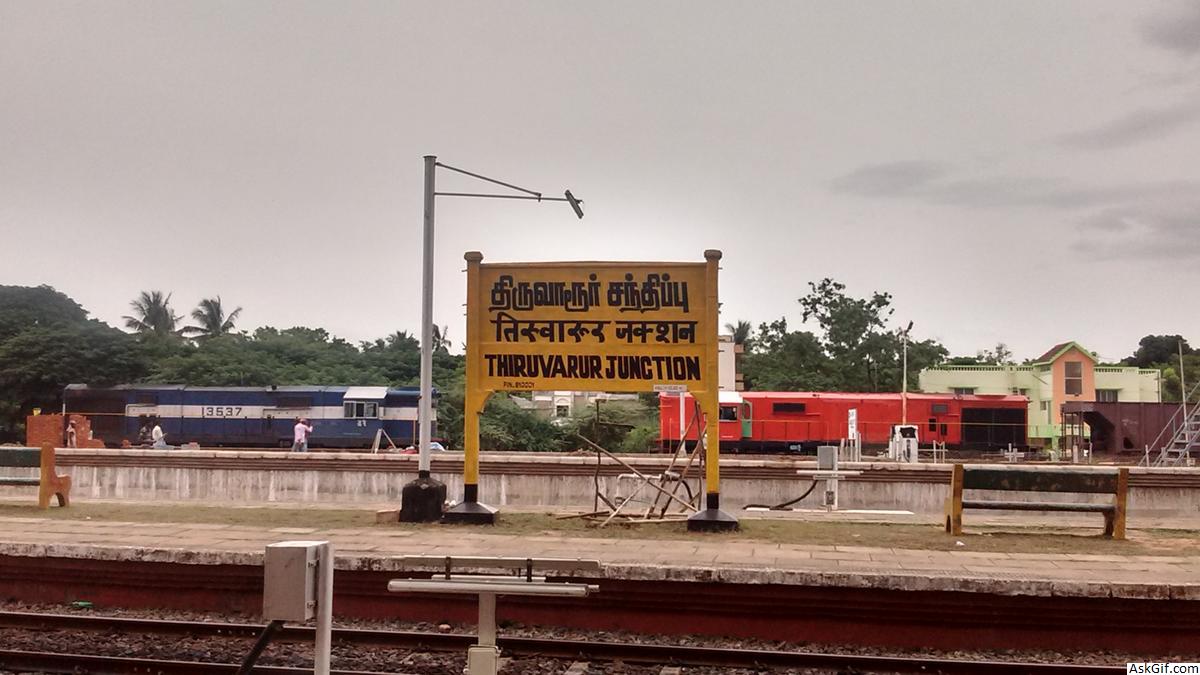 तिरुवरुर में देखने के लिए शीर्ष स्थान, तमिलनाडु