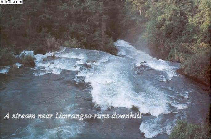 4. उमरंगसो