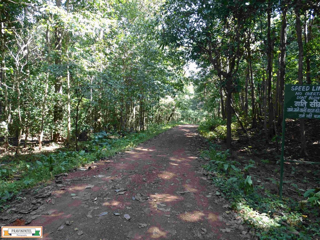 4. कांगेर घाटी राष्ट्रीय उद्यान