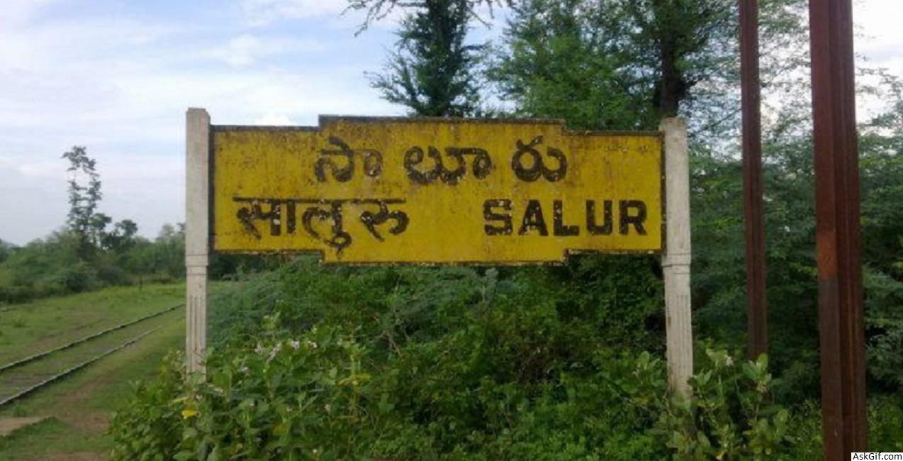 सालुर में देखने के लिए शीर्ष स्थान, आंध्र प्रदेश